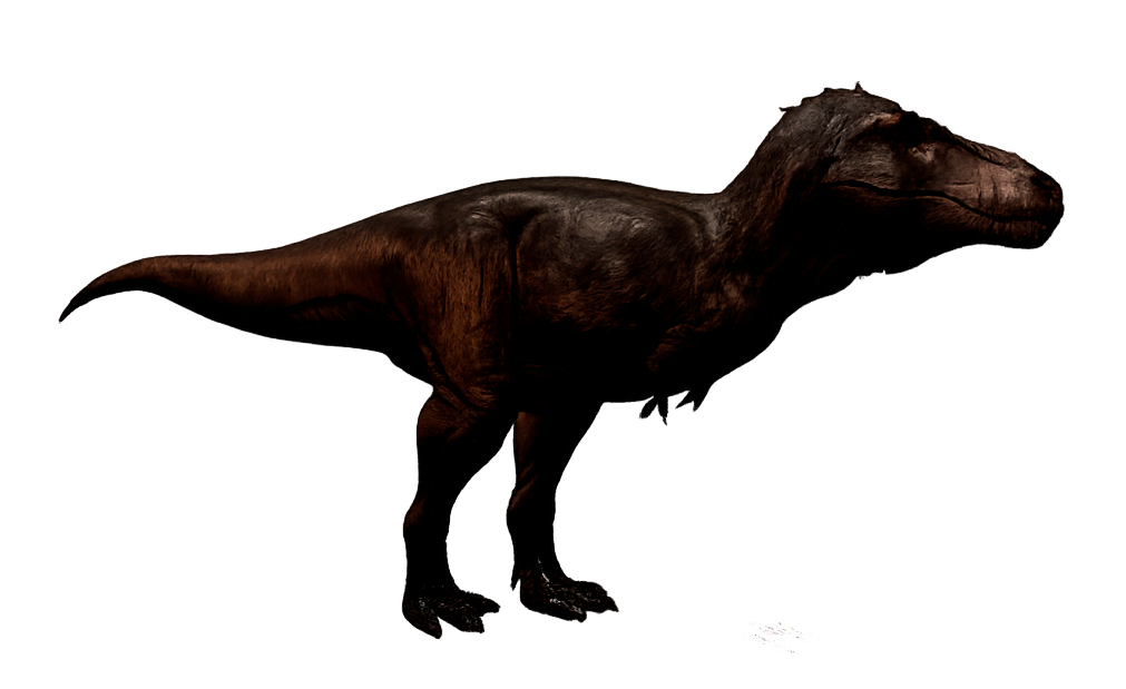 Rex Supreme